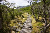 El Chaltén: Argentina’s Trekking Capital