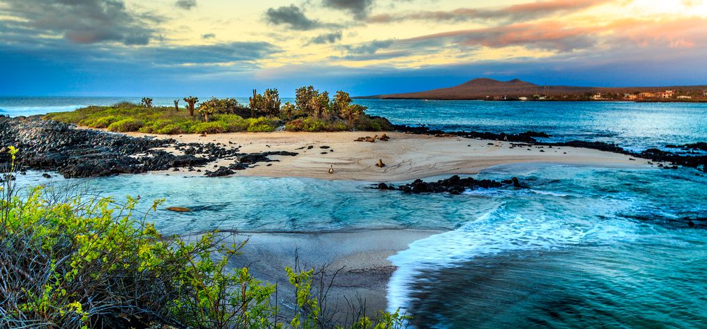 The Galapagos Islands