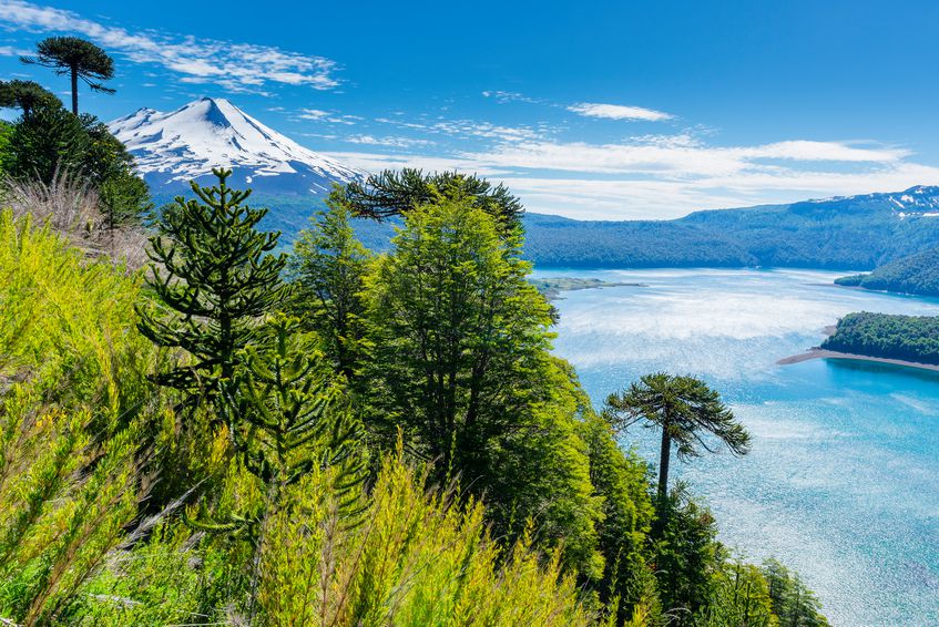 conguillio national park