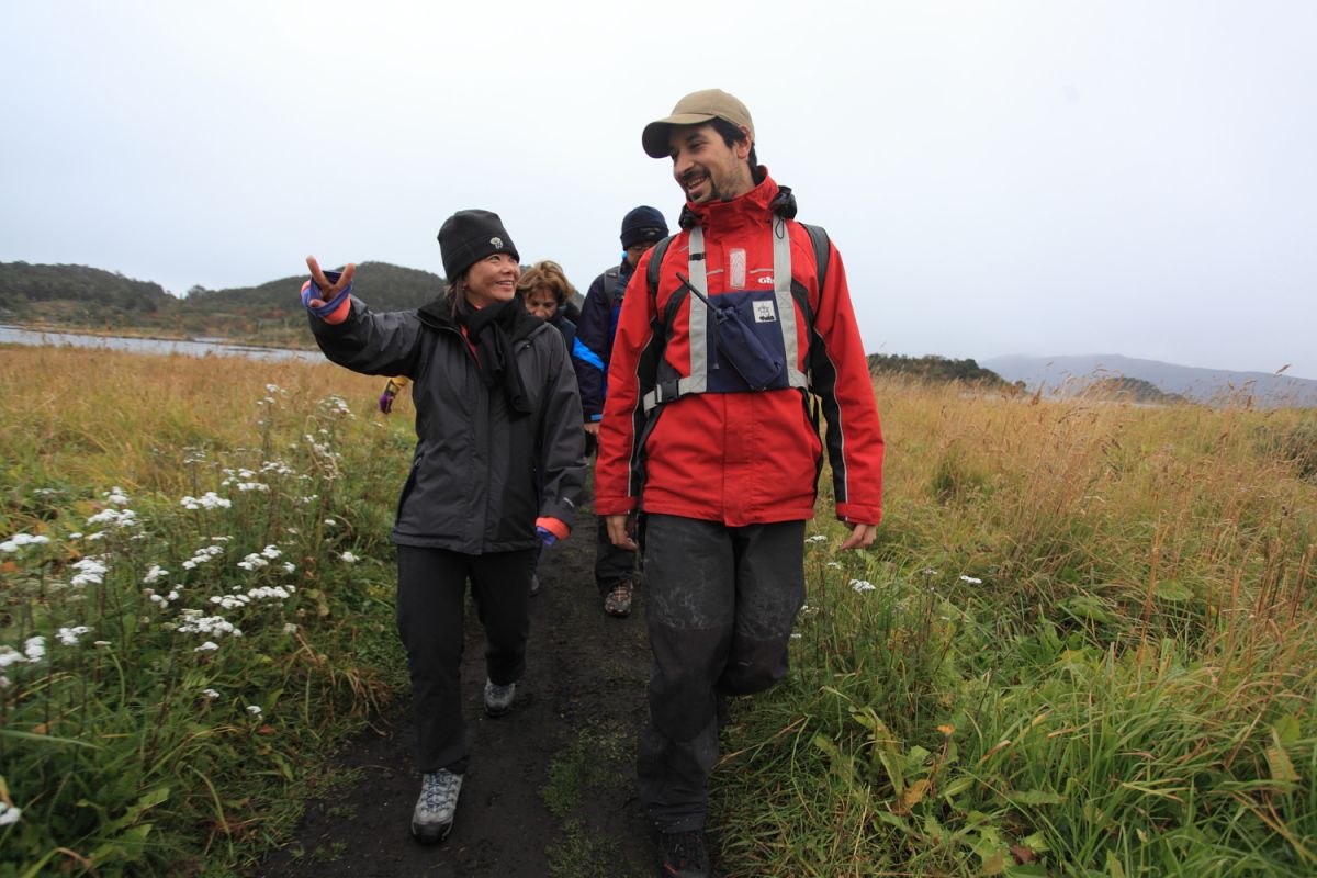 cruise from punta arenas