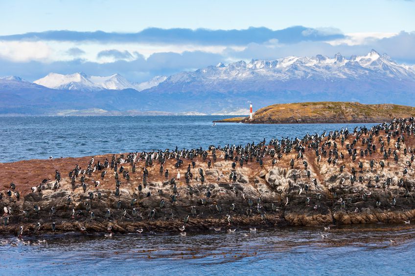 Beagle Channel