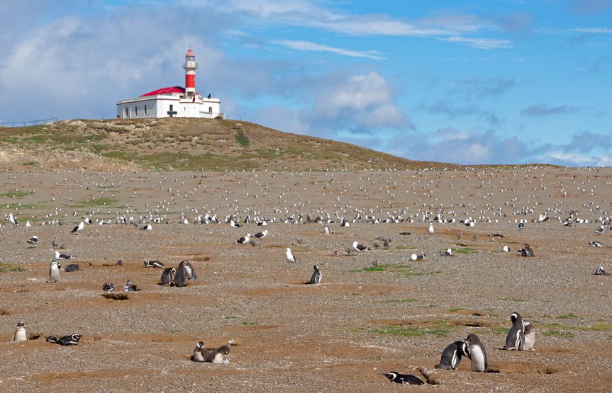 isla magdalena