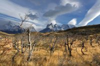 The Ultimate Checklist For Hiking the W Trek Torres del Paine