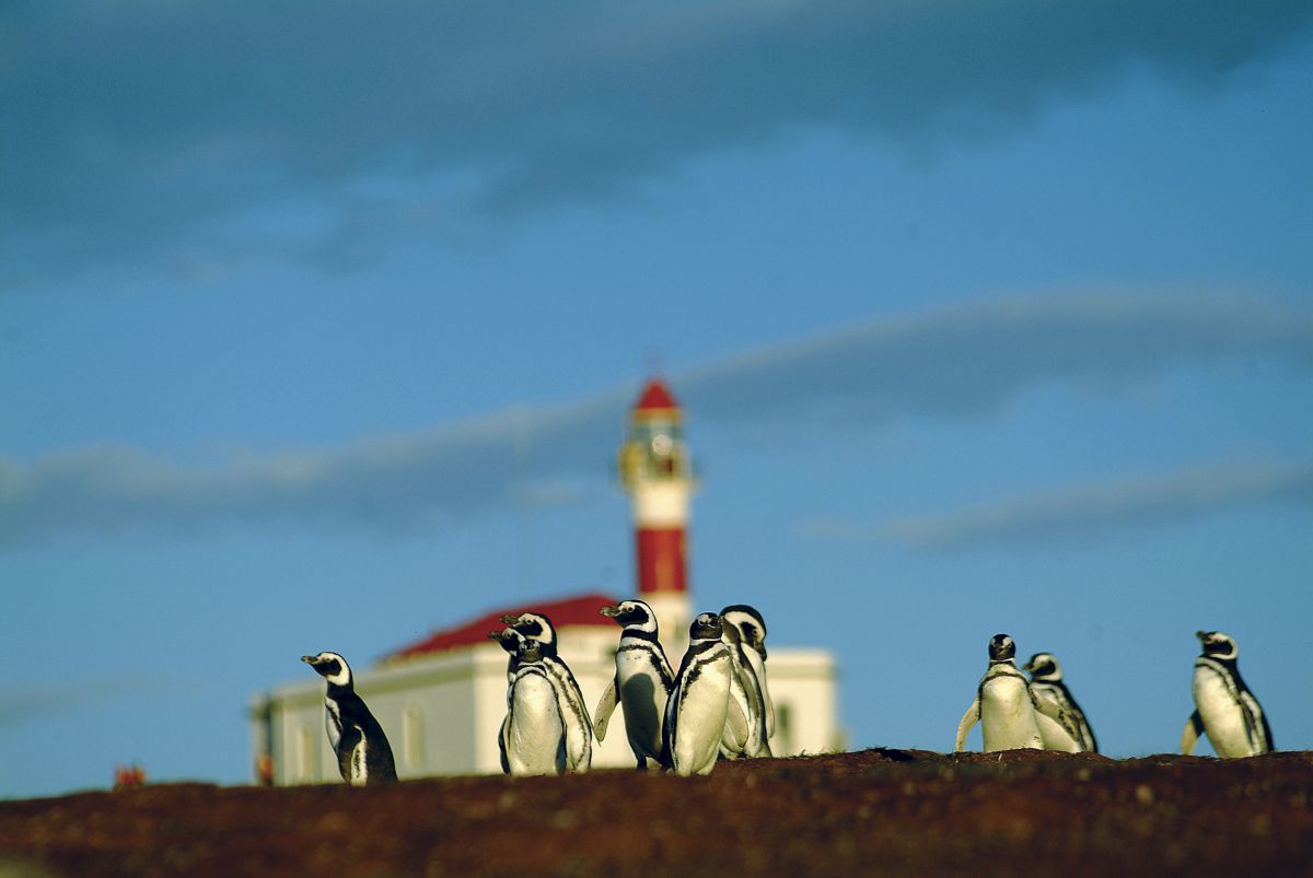 isla magdalena