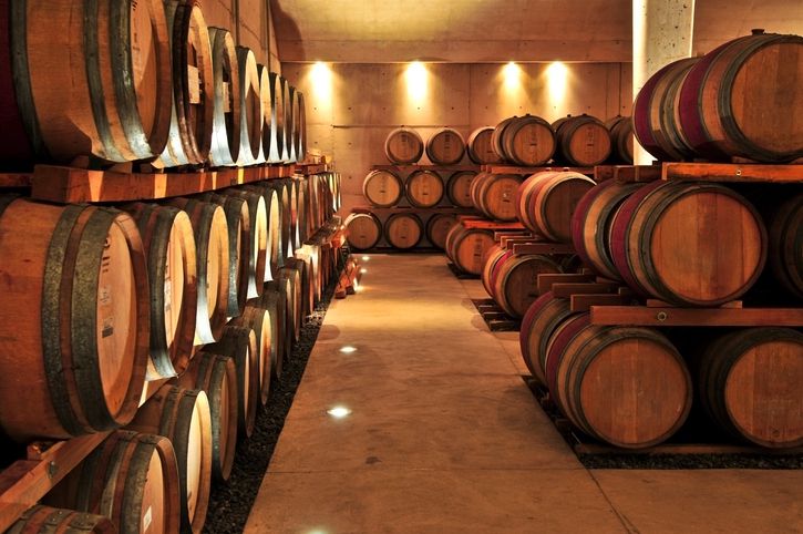 chile wine tours