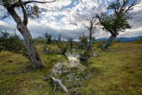 The Story Behind Patagonia’s Newest Parks