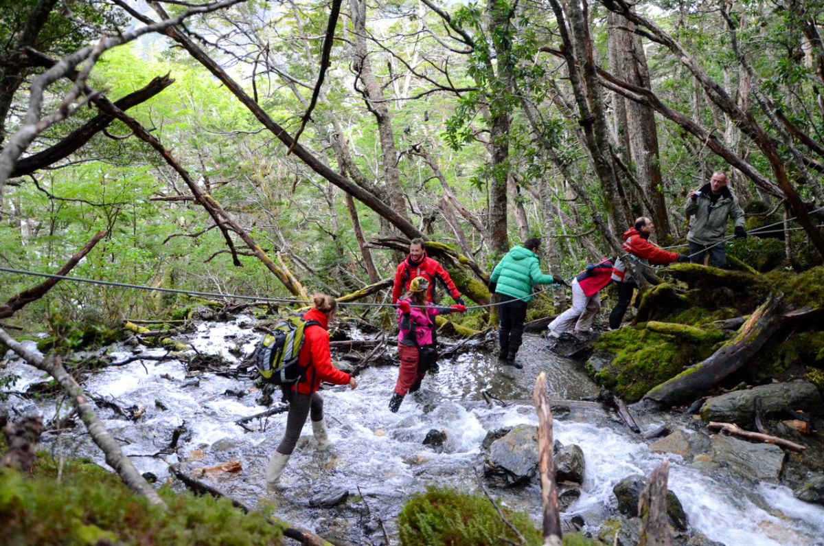 cruise from punta arenas