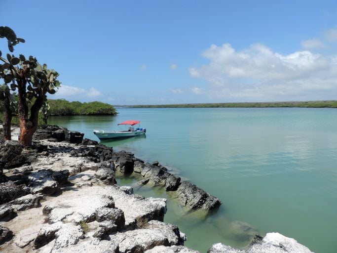 tortuga bay galapagos