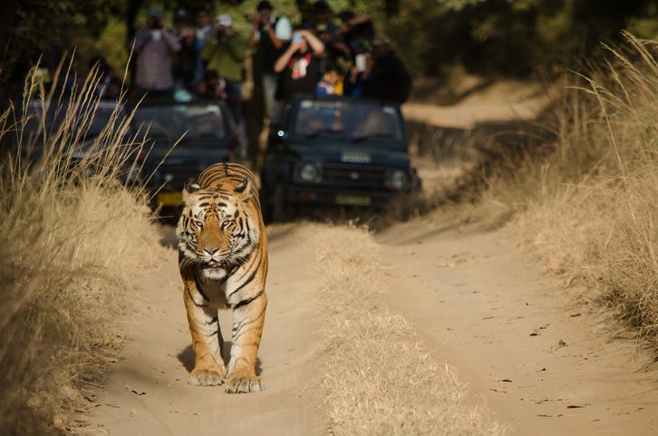 indian national parks