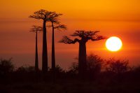 Holidays to Madagascar: 10 Places Wildlife Lovers Can’t Miss