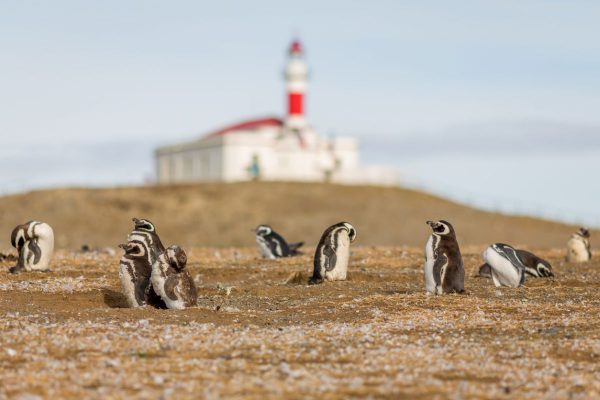 strait of magellan