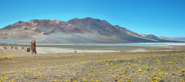 los flamencos national reserve