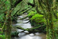 Introducing the Carretera Austral: Chile’s Ultimate Road Trip