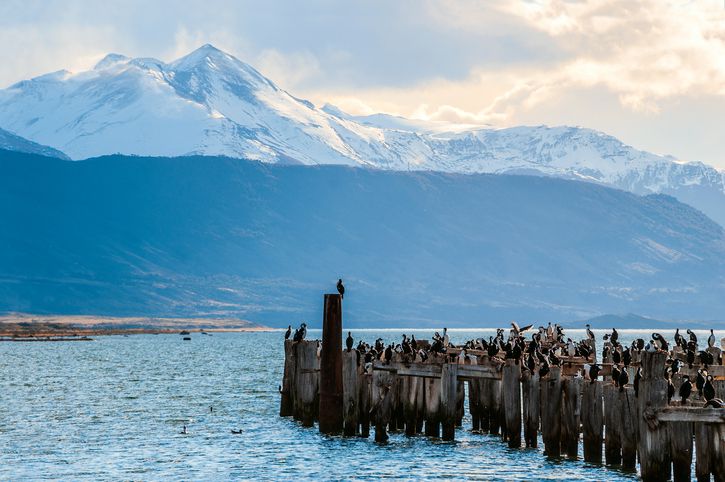 puerto natales