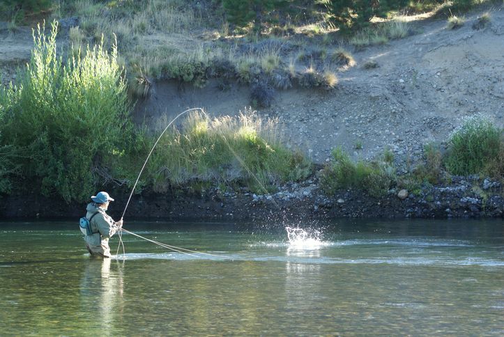 argentina fishing