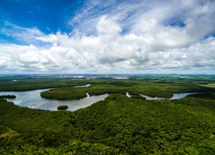 longest river in south america