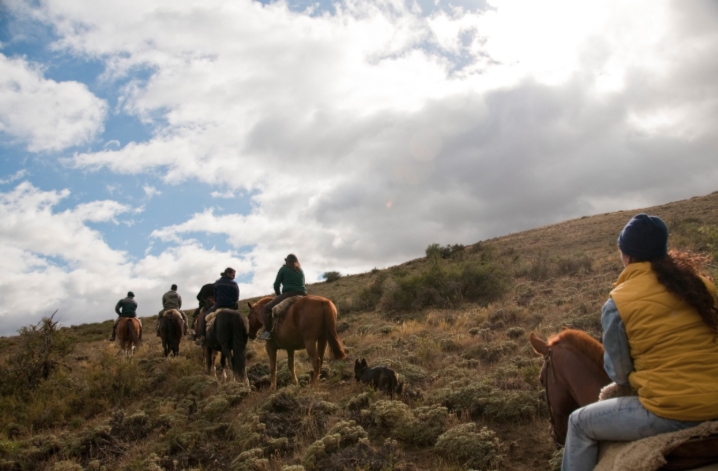 family sports patagonia