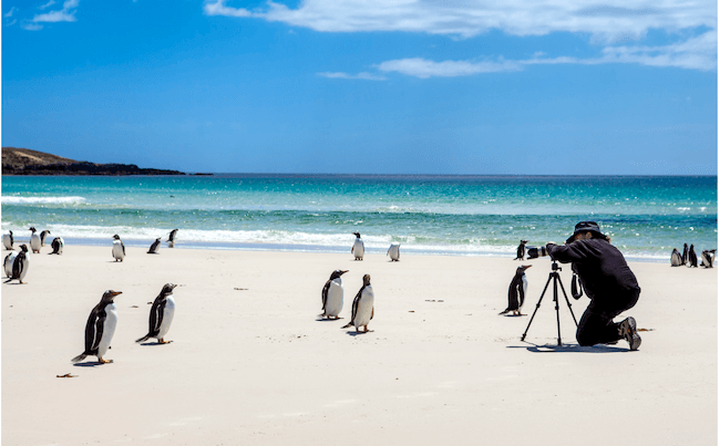 best camera for wildlife photography