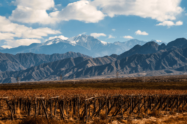 argentina white wine