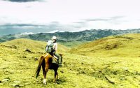 Go on a horse trekking trip