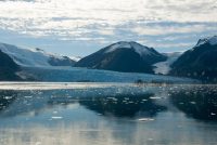 Where is the Beagle Channel?