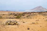 The Deserts of South America